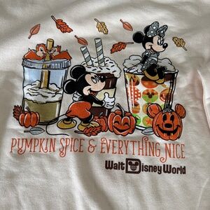 Disney World Fall Sweatshirt - Pumpkin Spice and Everything Nice - Size Large